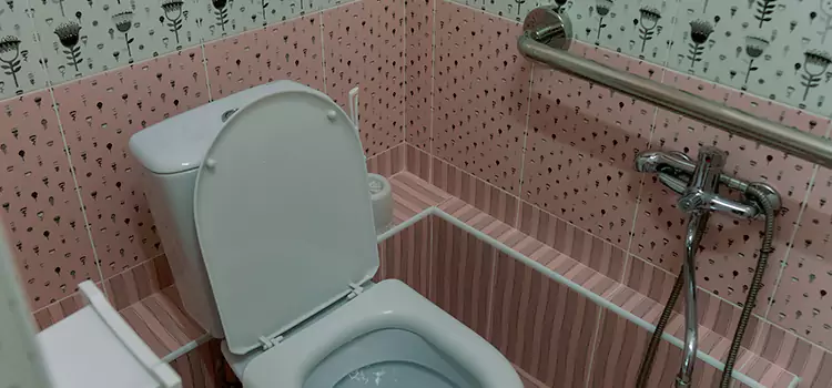 Meeting Diverse Needs With Accessible Restroom Solutions in Washington, DC